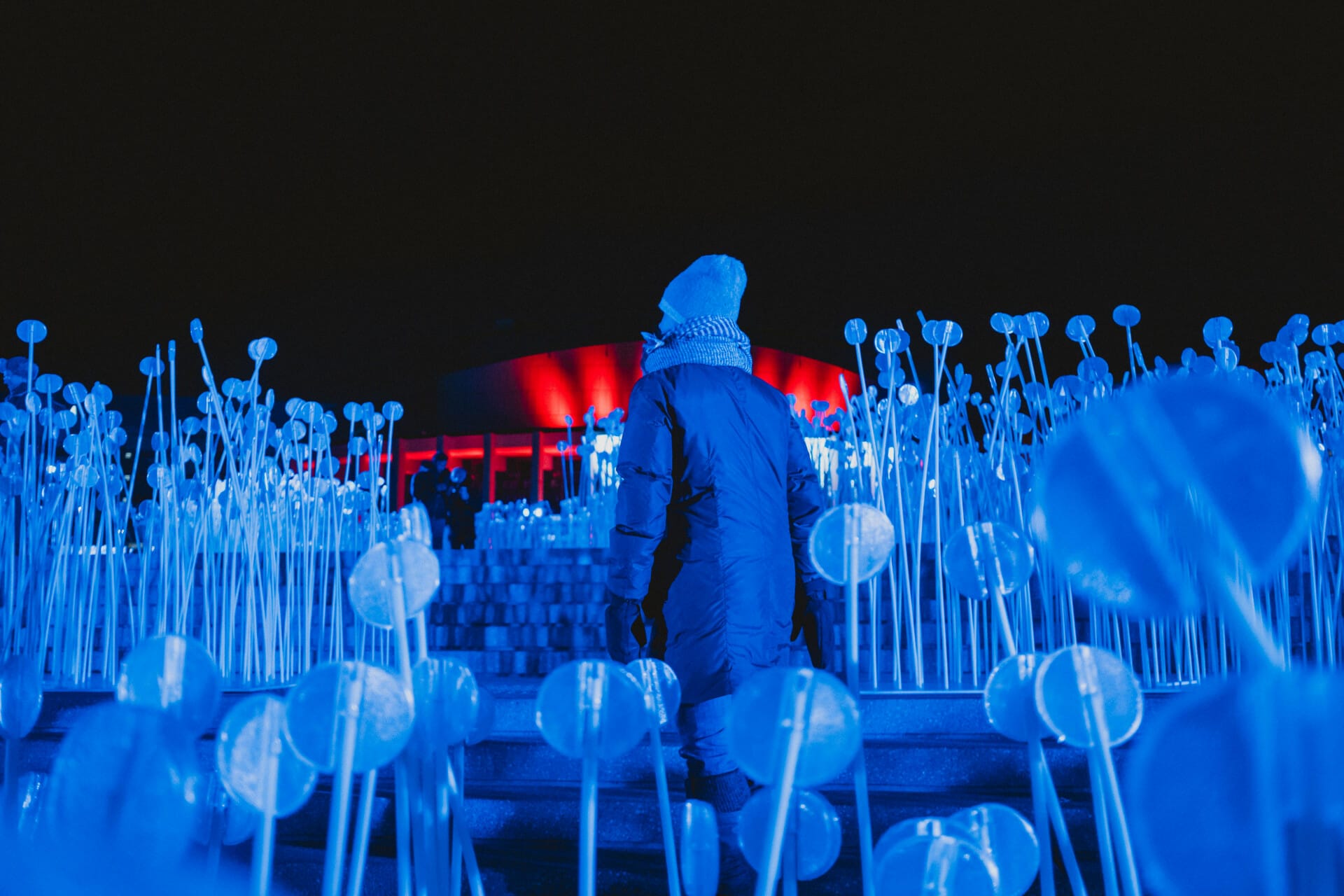 Entre les rangs, Luminothérapie Coeur battant © Madeleine Plamondon